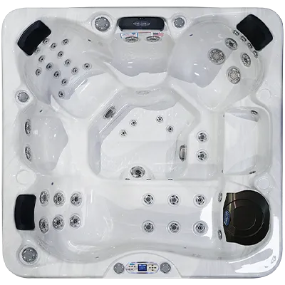 Avalon EC-849L hot tubs for sale in Gladstone